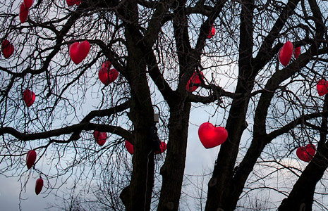 一键故障恢复的手机号短信轰在线轰炸免费软件